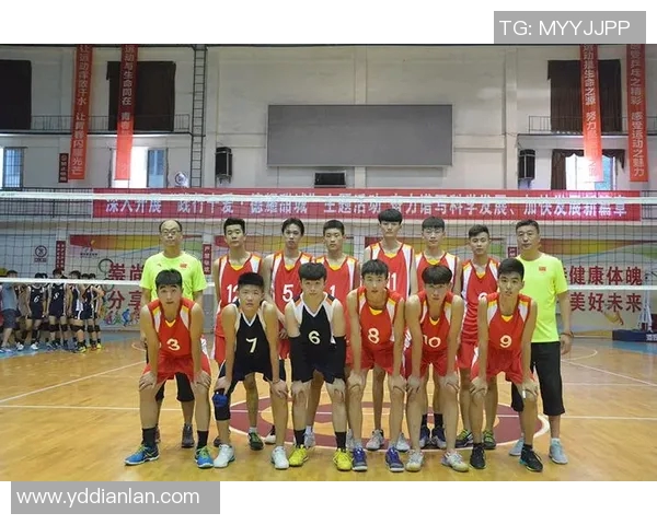 武汉排球队与南京排球队实力对比赛后分析与总结